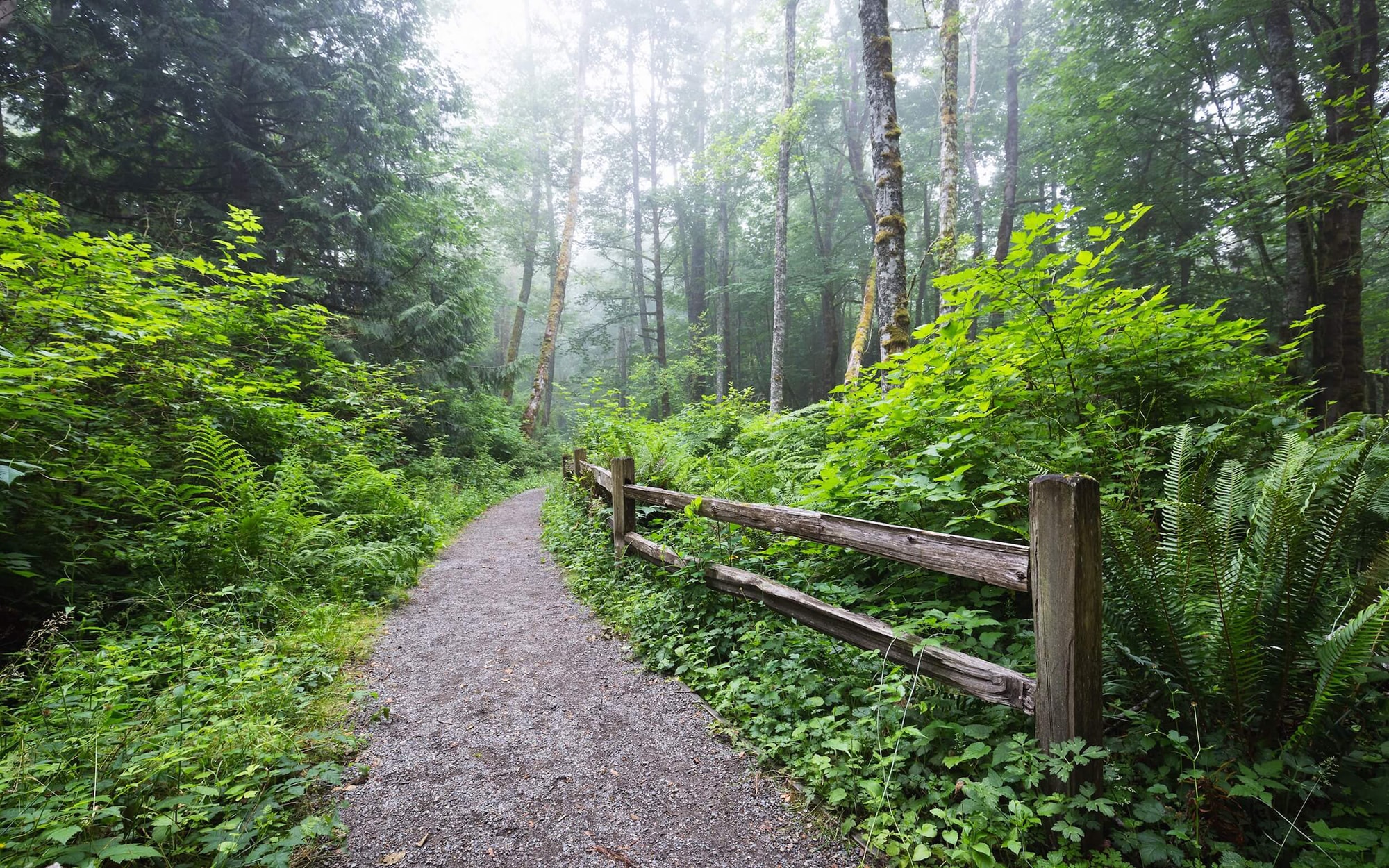 Deer Path Guelph